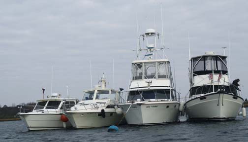 The fleet on the mooring